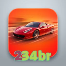 234br